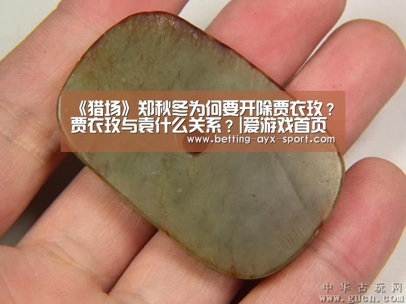 《猎场》郑秋冬为何要开除贾衣玫?贾衣玫与袁什么关系?|爱游戏首页(图2) 爱游戏体育