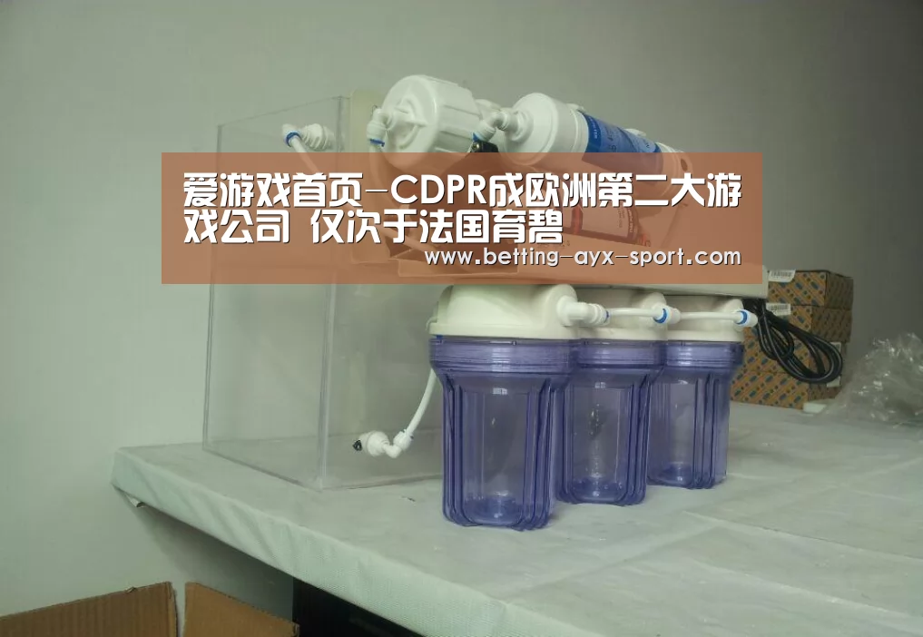爱游戏体育