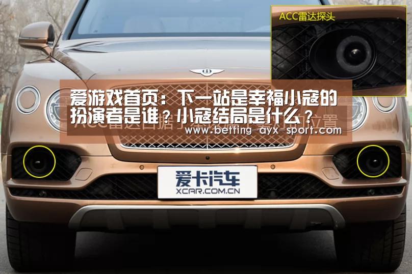 爱游戏官网